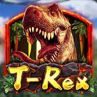 Slot Gacor Thailand DRAGOONSOFT